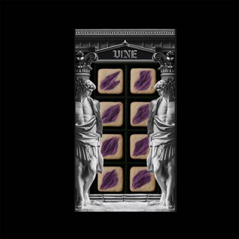 آيس كريم مجفف بالتبريد - توت مشكل بالفانيلا