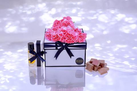 شيك بلوومز ۱٥