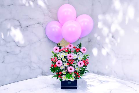شيك بلوومز ٥۳