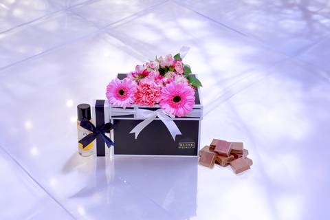 شيك بلوومز ۲۳