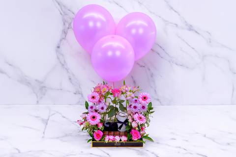 شيك بلوومز ۲۸