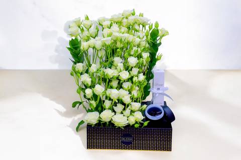شيك بلوومز ٦