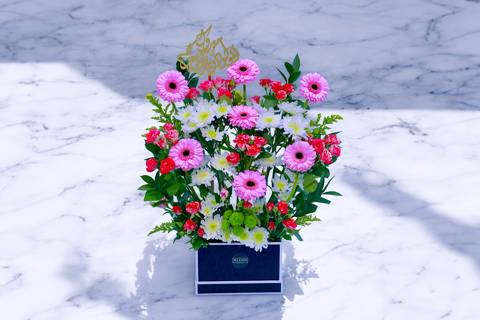 شيك بلوومز ٥٤