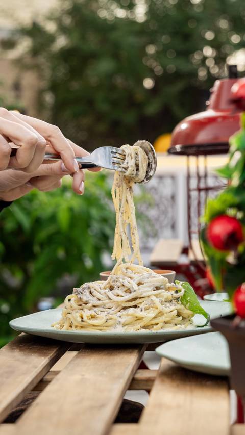 Bruno Station for 40 Persons