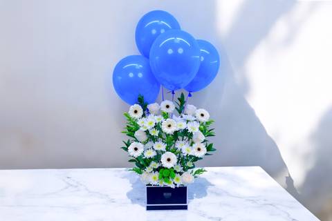 شيك بلوومز ٥٦