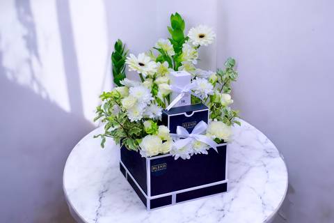 شيك بلوومز ۹