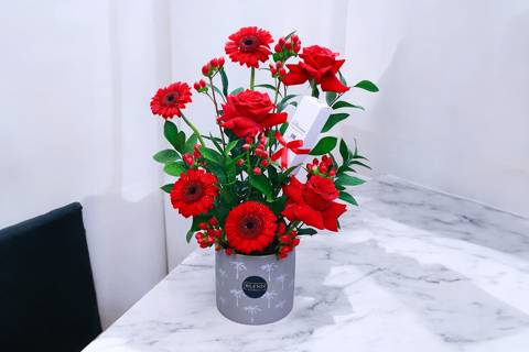 شيك بلوومز ٤٤