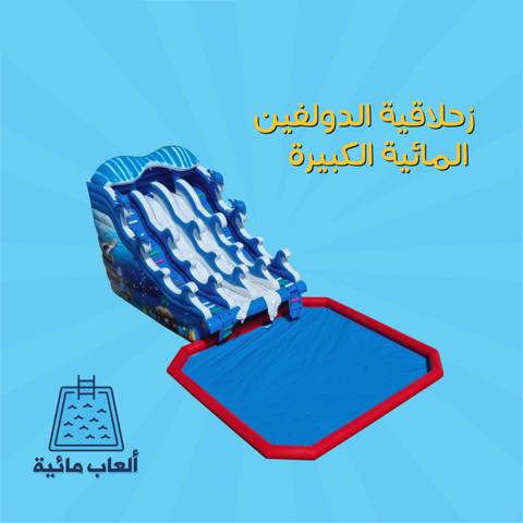 Big Dolphin Water Slide