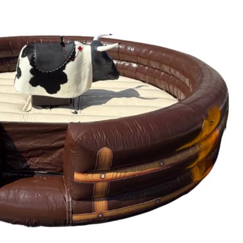 Bull Rodeo