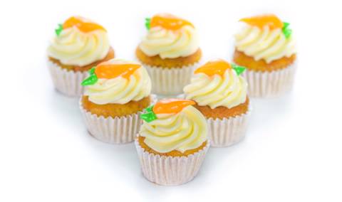 Carrot Tiny Bites