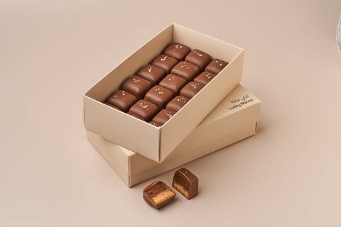 Chocolate Cheesecake Bites