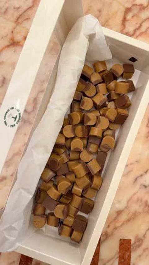 بايتس ترافل
