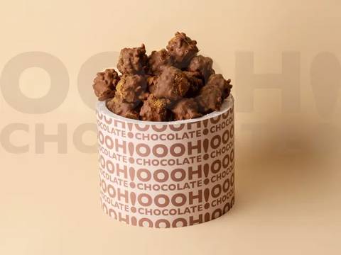 Crunchy Ice Cream Bites