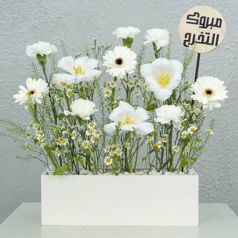 دريمي ۲
