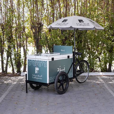 Ice Cream Cart for 100 Persons