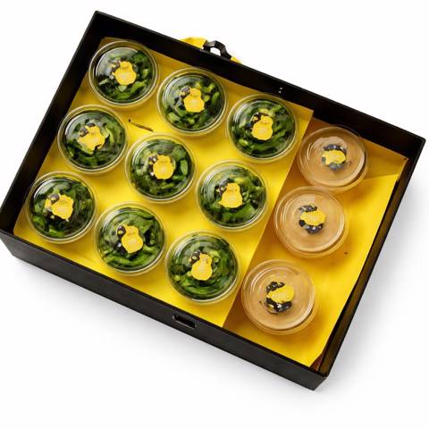 بوكس ادامامي