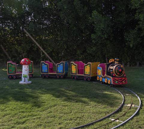 Elias The Train