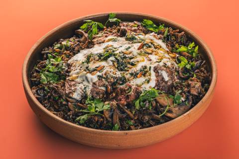 Lamb & Maftool