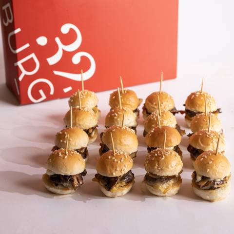 Mushroom & Swiss Nano Burgers