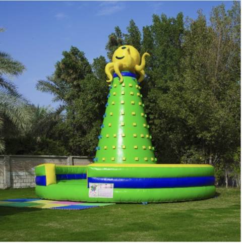 Octopus Climbing Wall