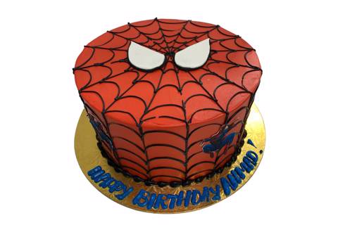 Spiderman Web Cake