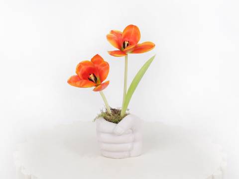 Just For You
