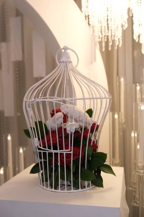 Caged in Love